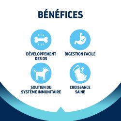 Advance Chat Kitten Poulet