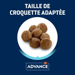 Advance Chat Kitten Poulet