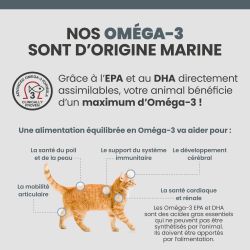 Bienfaits des Oméga 3 d'origine marine sur le corps du chat senior et adulte.