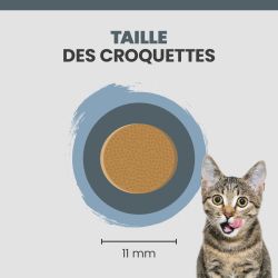 Taille d'une croquette Specific FJD Joint Support