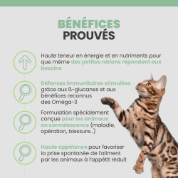 Bénéfices de la terrine specific F/C IN-W pour chien et chat en convalescence.