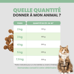 Quantité optimale pour le chat en récupération nutritionnelle