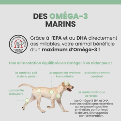 Oméga 3 bienfaits sur le corps du chien et du chat.