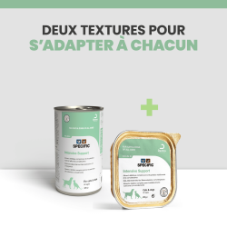 Alimentation pour récupération nutritionnelle du chat et du chien