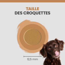 Taille d'une croquette Specific COD-HY Allergen Management de chez Dechra