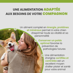 Alimentation adaptée au chien adulte de toutes races, en bonne santé, stérilisé ou non