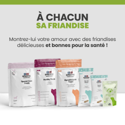 Friandise Specific Dechra pour chien