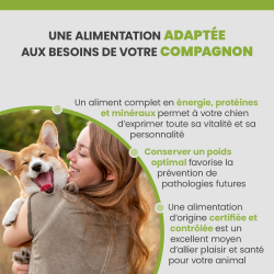 Terrine adaptée aux chiens de toutes races, en bonne santé, stérilisés ou non