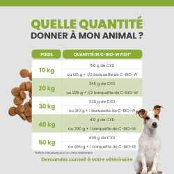 Quantité idéal de la terrine pour les chiens selon leur poids et leurs alimentations