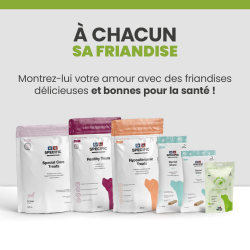 Friandise Specific Dechra pour chien