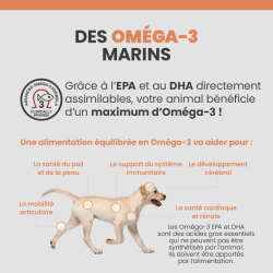bénéfices des Omega-3 sur le corps du chien