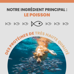 Poisson ingrédient principal de la croquette Specific CDD-HY
