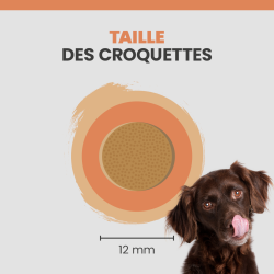 Taille de la croquette Specific CDD-HY de Dechra