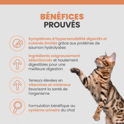 Bénéfices des croquettes Specific FDD-HY sur le chat souffrant d'allergies