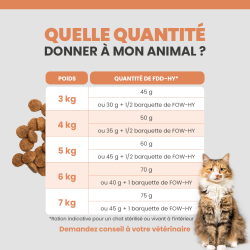 Quantité idéale de croquettes Specific FDD-HY pour chat selon son poids et son alimentation