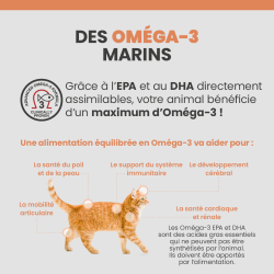 bénéfices des Oméga-3 sur le corps du chat.