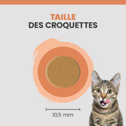 Taille de la croquette Specific FDD-HY