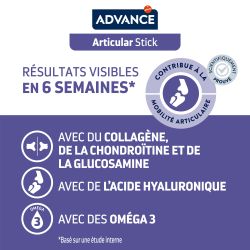Advance Chien Stick Articular