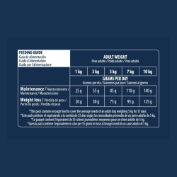 Advance Chien Mini Light