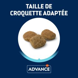 Advance Chien Mini Light