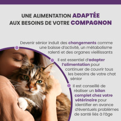 Croquette Specific FGD adaptée aux besoins des chats seniors.