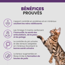 Bénéfices des croquettes Specific FGD pour les chats seniors.