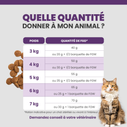 Quantité idéale pour le chat selon son poids et son alimentation