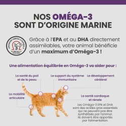 Bienfaits des Oméga-3 pour le corps du chat.