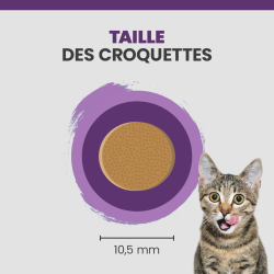 Taille d'une croquette Specific FGD Senior.