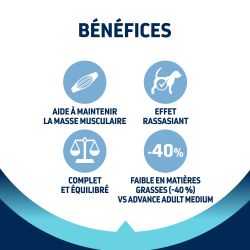 Advance Chien Medium Light