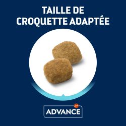 Advance Chien Medium Light