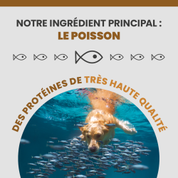 Le poisson, l'ingrédient principal de la Terrine Specific CIW-LF