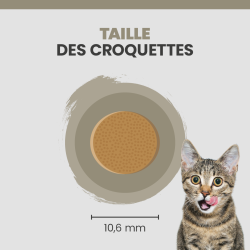 Taille de la croquette Specific FOD Skin Function Support.