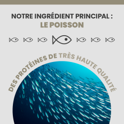 Protéines de poisson, ingrédient principal de la croquette Specific FOD Skin Function Support.