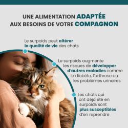 Terrine Specific FRW adapté aux chats en situation de surpoids ou d'obésité.