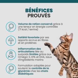 Bénéfices de la terrine Specific FRW pour les chats en surpoids ou obèse.