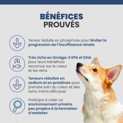 Bénéfices de la croquettes Specific CKD de Dechra sur le chien senior et adulte