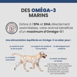 Bienfait de l'Oméga-3