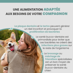 Friandise adapté aux besoins d'une meilleure santé bucco-dentaire du chien adulte.