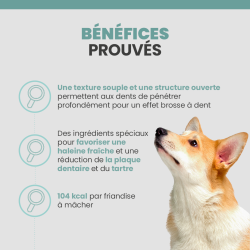 Bénéfices des friandises Specific CT-DS-S sur la santé bucco-dentaire du chien adulte.