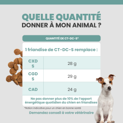 Quantité optimal des friandises pour l'alimentation du chien adulte selon son alimentation.