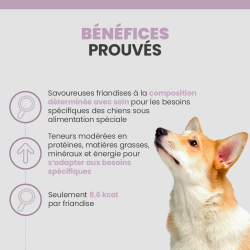 Bénéfices de la friandise adaptée aux besoins de votre chien.