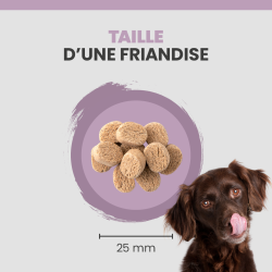 taille de la friandise Specific CT-SC pour chien.