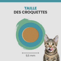Taille d'une croquette Specific FQD-F