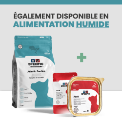 Alimentation terrine, sachet fraicheur, croquette pour le chat.