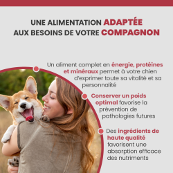Alimentation adaptée aux besoins de votre compagnon.