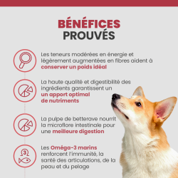 Bénéfices prouvés des croquettes Specific CXD-S pour les chiens de petite race.