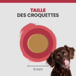Taille d'une croquette Specific CXD-S.