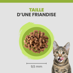 Taille de la friandise Specific FT-Bio de Dechra.