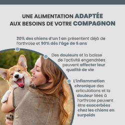 Alimentation adaptée pour soutenir les articulations des chiens.